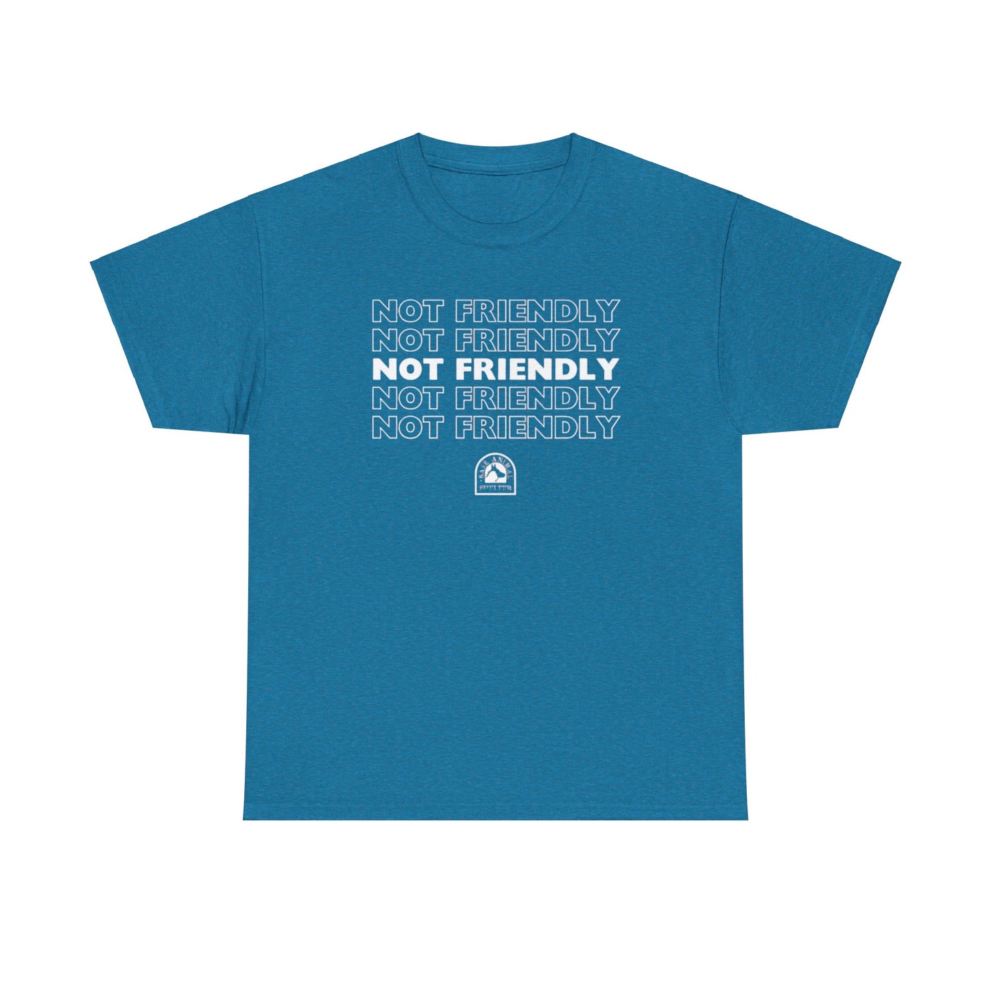 Not Friendly Heavy Cotton Tee