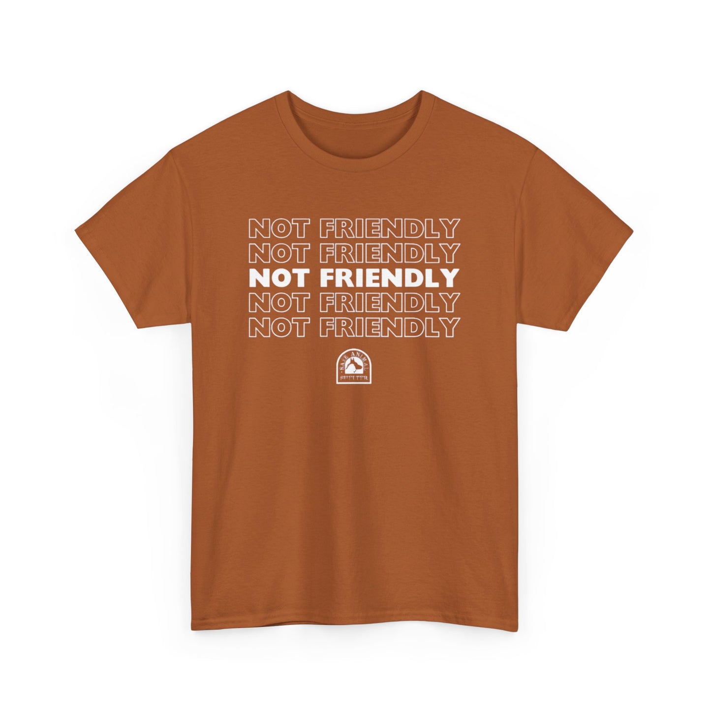 Not Friendly Heavy Cotton Tee