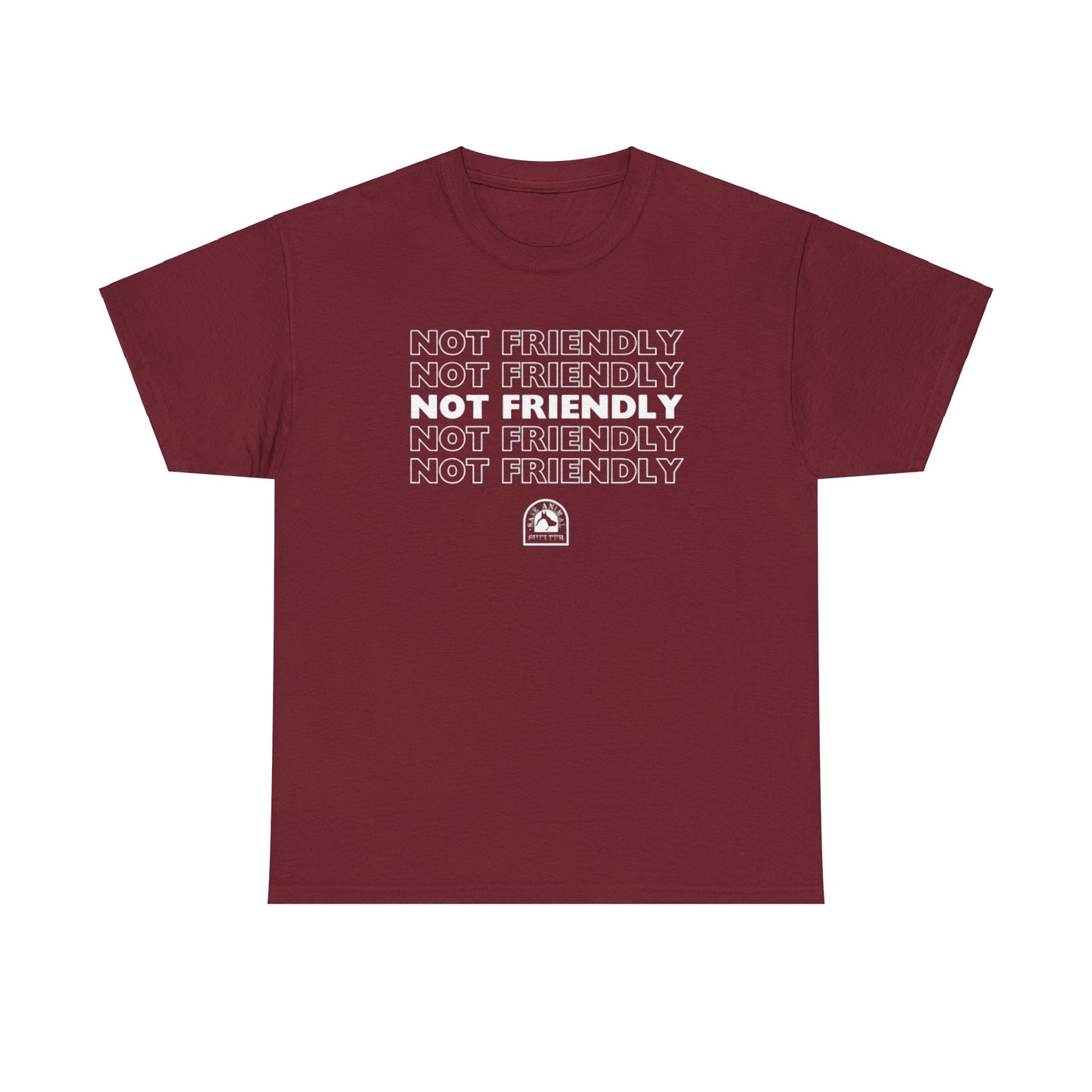 Not Friendly Heavy Cotton Tee